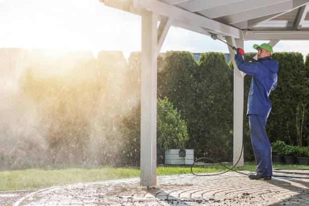 Best Solar Panel Cleaning  in Eastpointe, MI