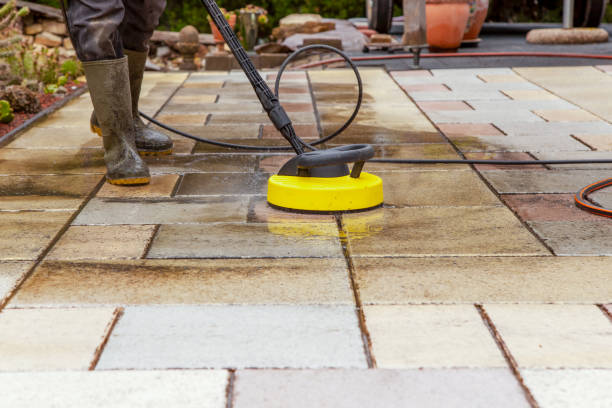 Animal Enclosure Cleaning in Eastpointe, MI